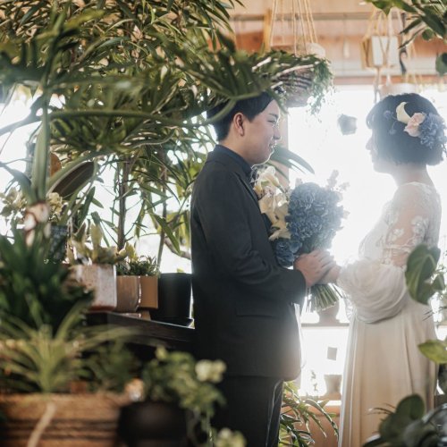 niwanoso wedding フォトプラン