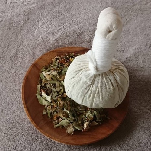 ハーブボールの出張ワークショップ