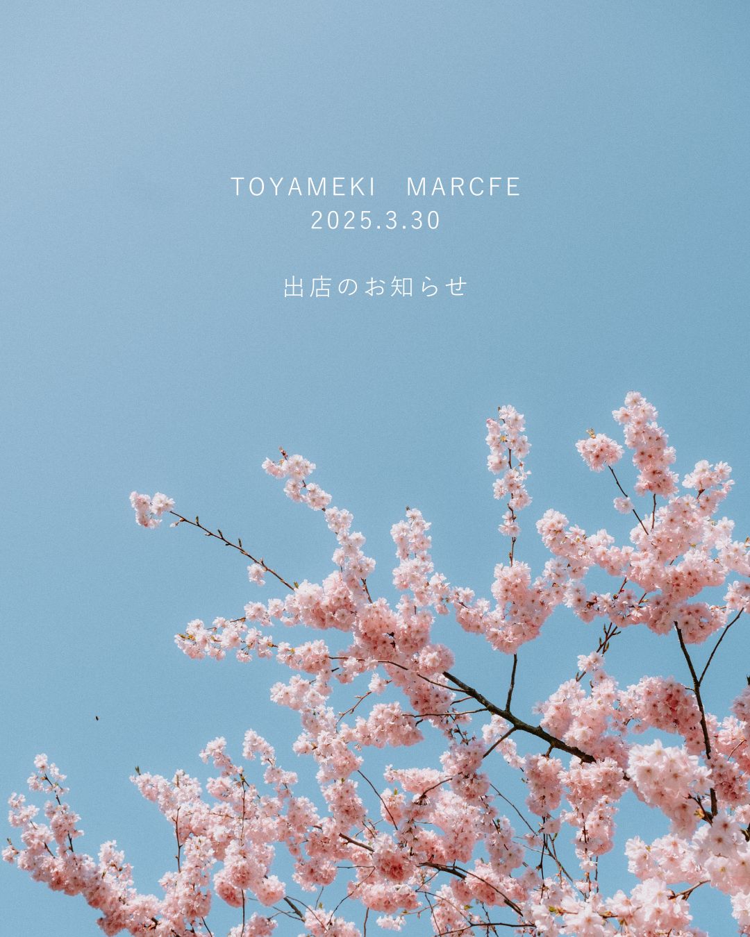 TOYAMEKI MARCHE in 環水公園 出店のお知らせ