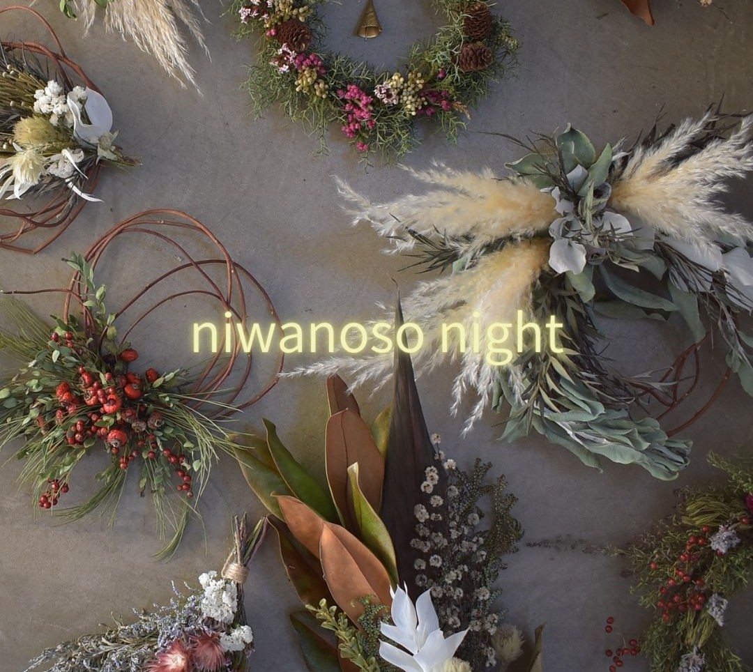 niwanoso night 2026