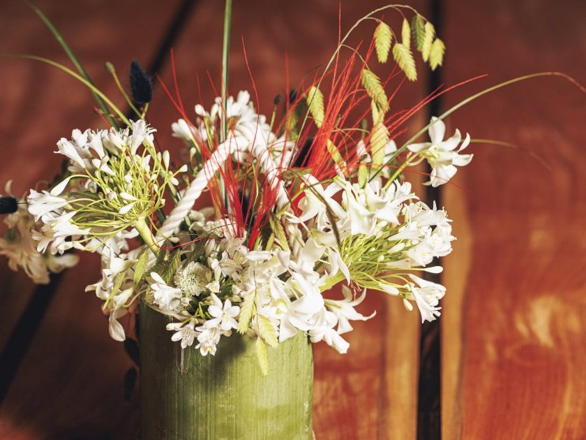 自然の植物を使うこだわり